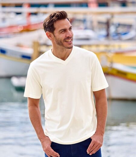 Set van 4 effen t-shirts met V-hals